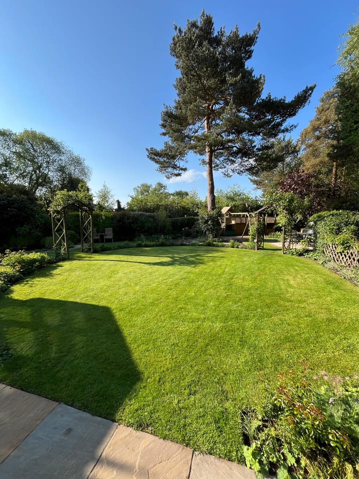 Revive Your Lawn: Smart Nutrition You Need To Know For Summer Survival